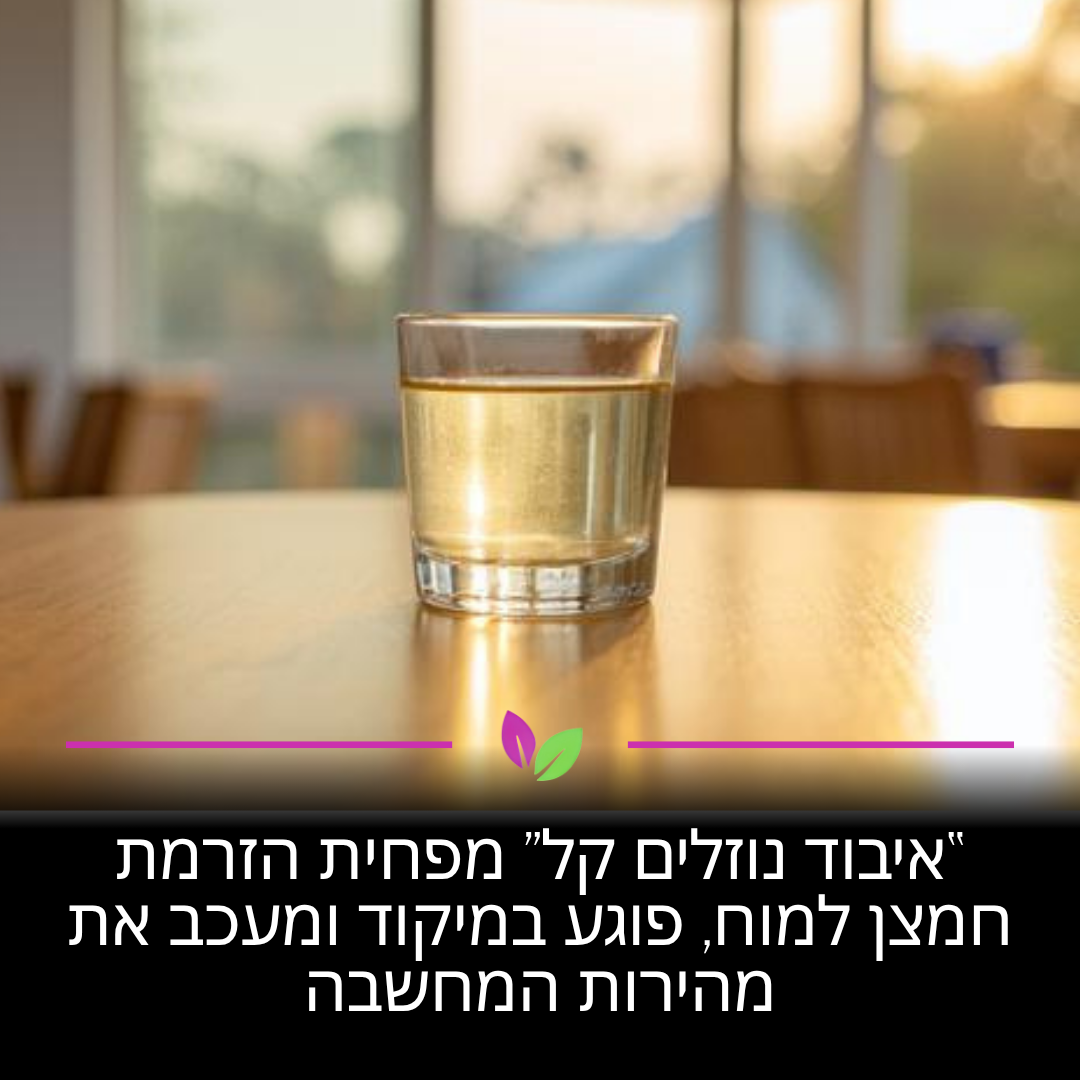 איבוד נוזלים של אחוזים בודדים בלבד מפחית את הזרמת החמצן למוח שלכם. זה הגורם הישיר לירידה במיקוד ובמהירות המחשבה. שתיית מים עקבית תעזור לכם לשמור על חדות וביצועים קוגניטיביים גבוהים.