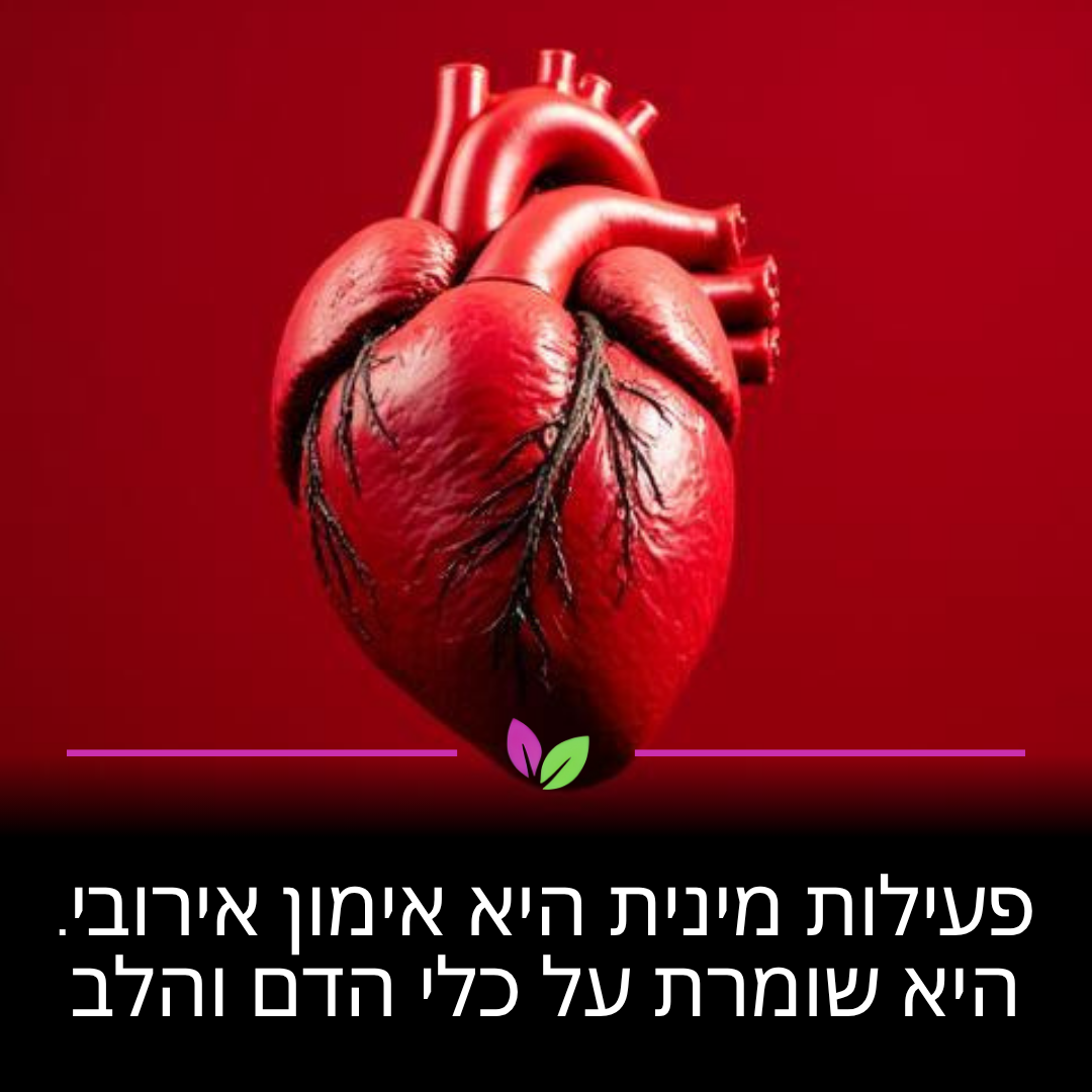 פעילות מינית מעלה את הדופק וממריצה את מחזור הדם בדיוק כמו אימון קל. זה עוזר לשמור על גמישות כלי הדם ובריאות הלב שלכם. שילוב של הנאה ופעילות גופנית הוא הדרך המושלמת לתמוך במערכת הקרדיווסקולרית.