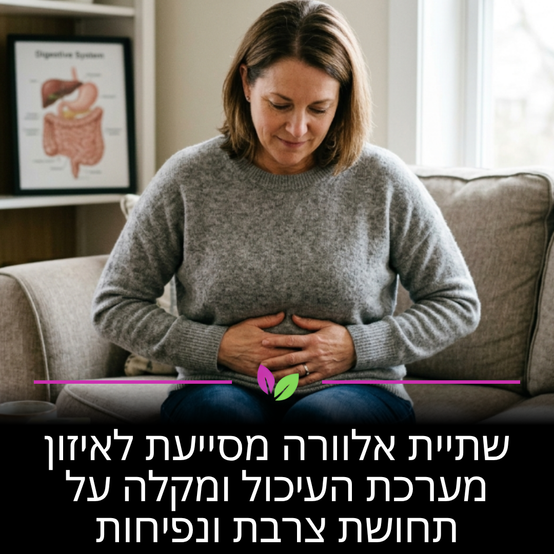 צמח האלוורה מכיל אנזימים המסייעים לפירוק מזון ומרגיעים את רירית הקיבה. שתייה קבועה מאזנת את מערכת העיכול שלכם ומעלימה תחושות אי-נוחות וצרבת, כך שתוכלו להרגיש קלילים יותר אחרי כל ארוחה.