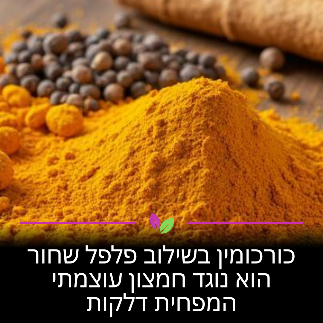כדי שהגוף יספוג כורכומין ביעילות, אתם חייבים פלפל שחור. הפיפרין שבפלפל מגביר את הספיגה ב-2,000%, מה שמאפשר לכם להילחם בדלקות ביעילות. חוקרים בהודו הוכיחו כי זהו השילוב הקריטי לשיקום התאים.